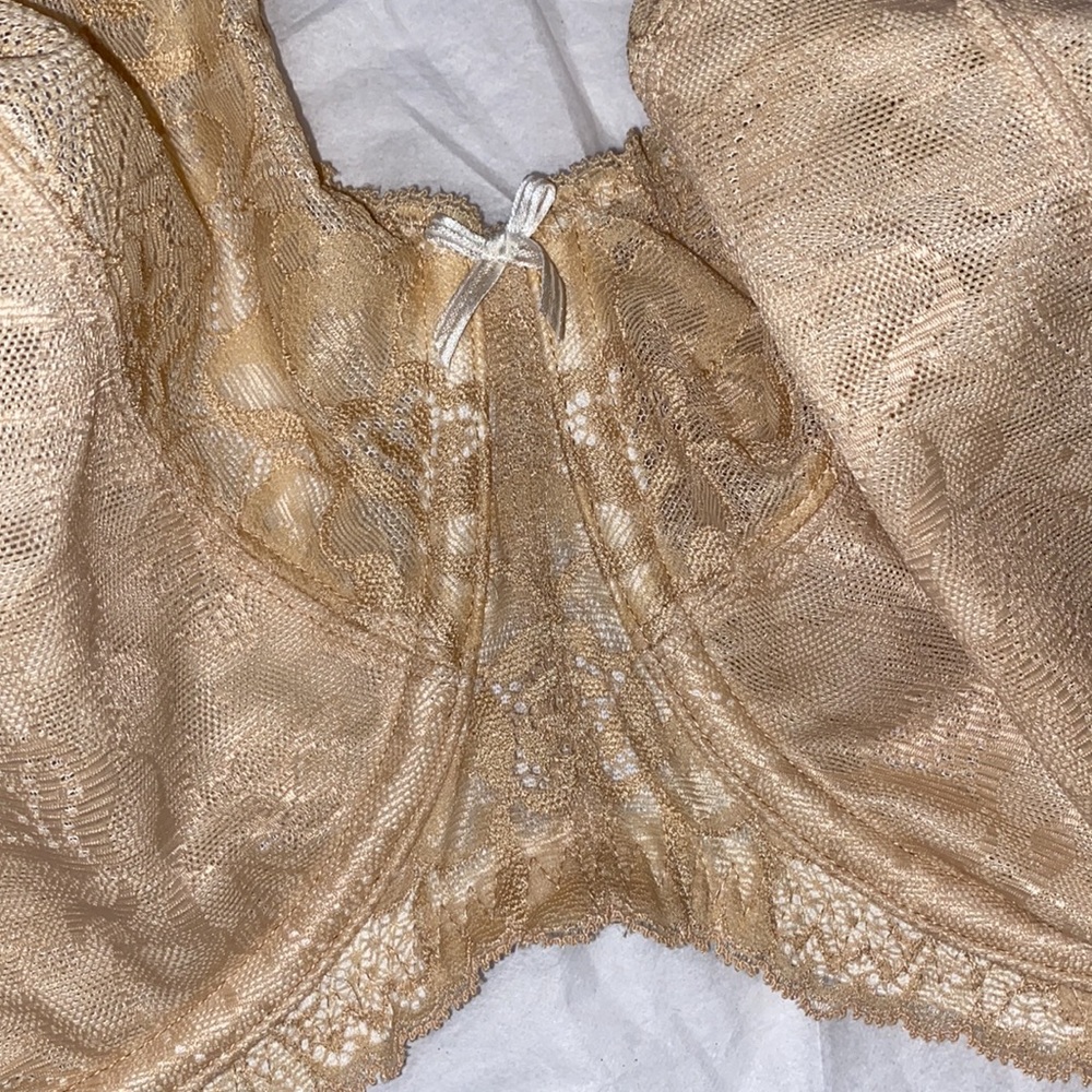 Nwt Lace Unlined Full Coverage Bra - image 5